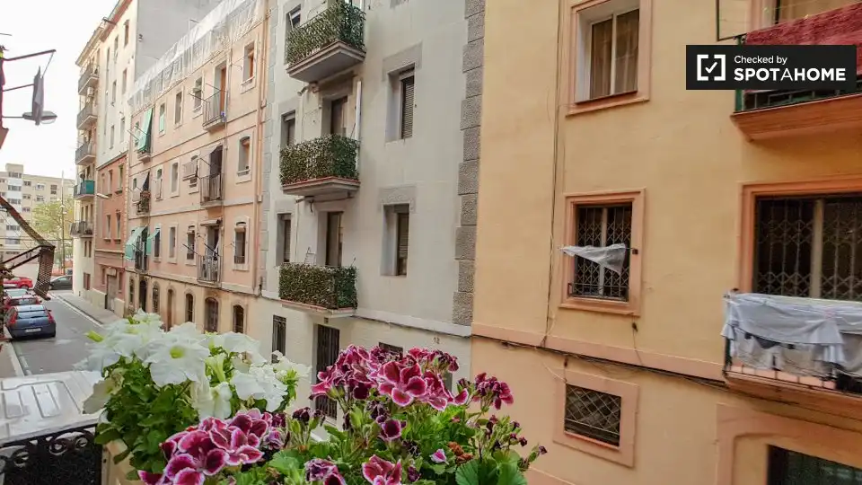 Piso con terraza en alquiler en Ciutat Vella, imagen 14