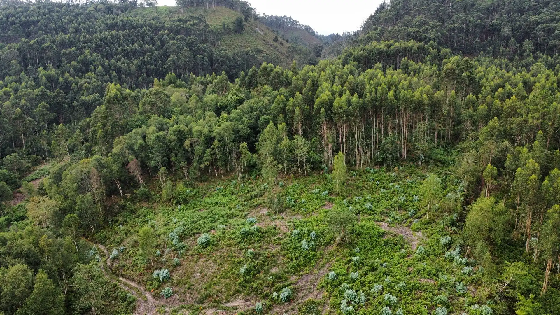 Terreno rustico in vendita a Pría - Nueva-Hontoria - Naves, imagen 20