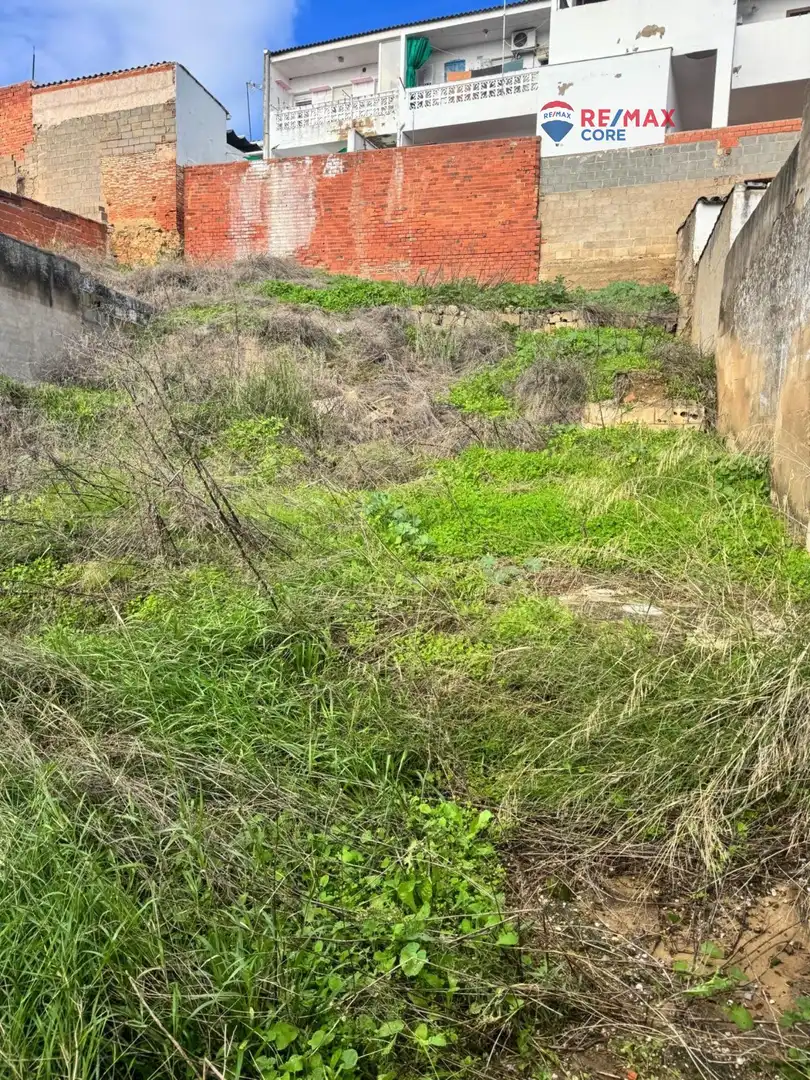 Terreni e lotti in vendita a Lobón, imagen 10