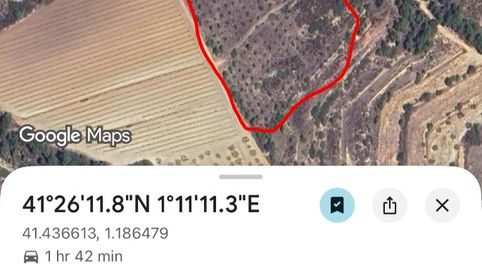 Magnifica parcela de 11.500m2, immagine 2