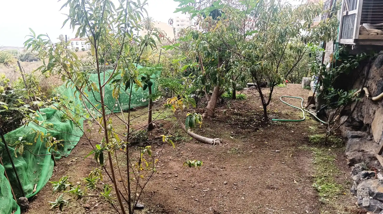 Rural land for sale in Calle Pez, imagen 12
