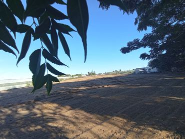 Residential land for sale in Camino del Olivar