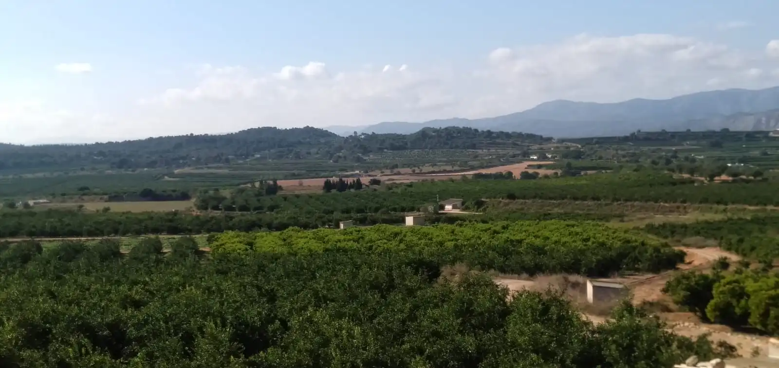 Finca rústica en venta en Pedralba con Jardín privado, Terraza y Trastero