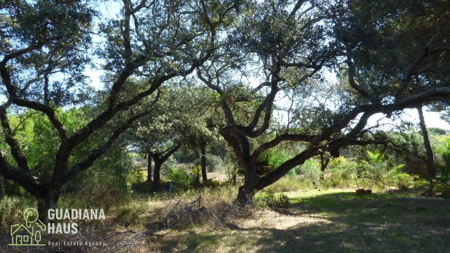 Country homes for sale in Villablanca  with Private garden, Terrace and Storage room