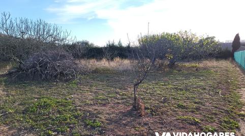 Foto 2 de Finca rústica en venta en Norte - Blanca Paloma, Rota