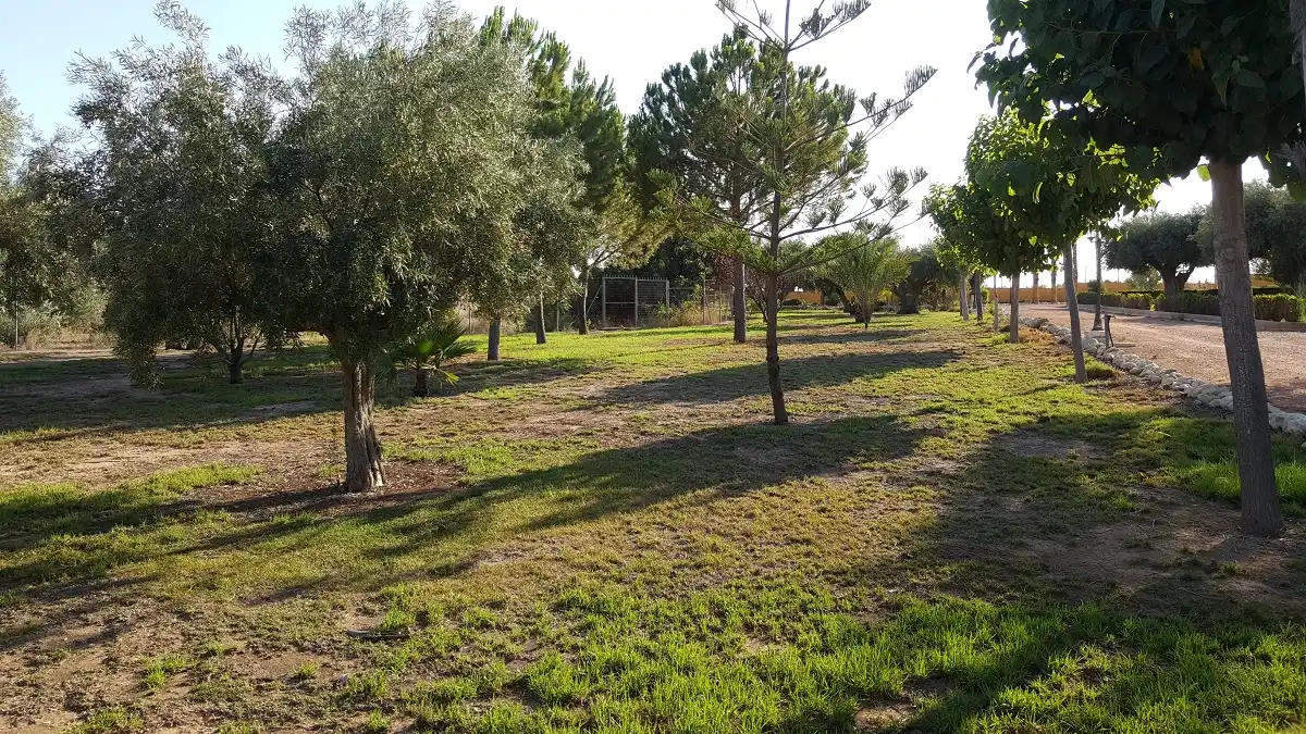 Casa rústica amb piscina en venda a N/A, imagen 34