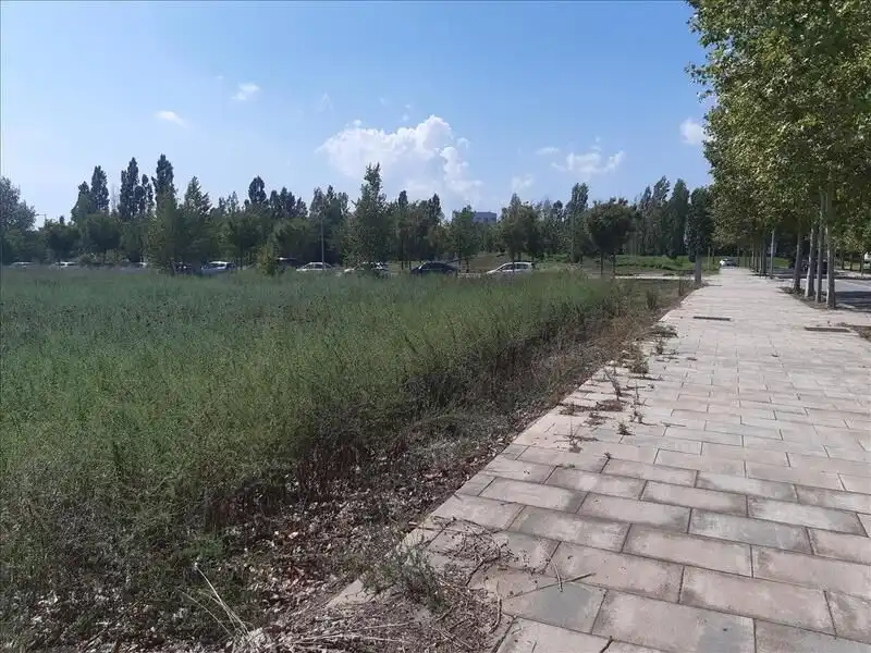 Residential land for sale in Carrer de Sant Gregori, imagen 8