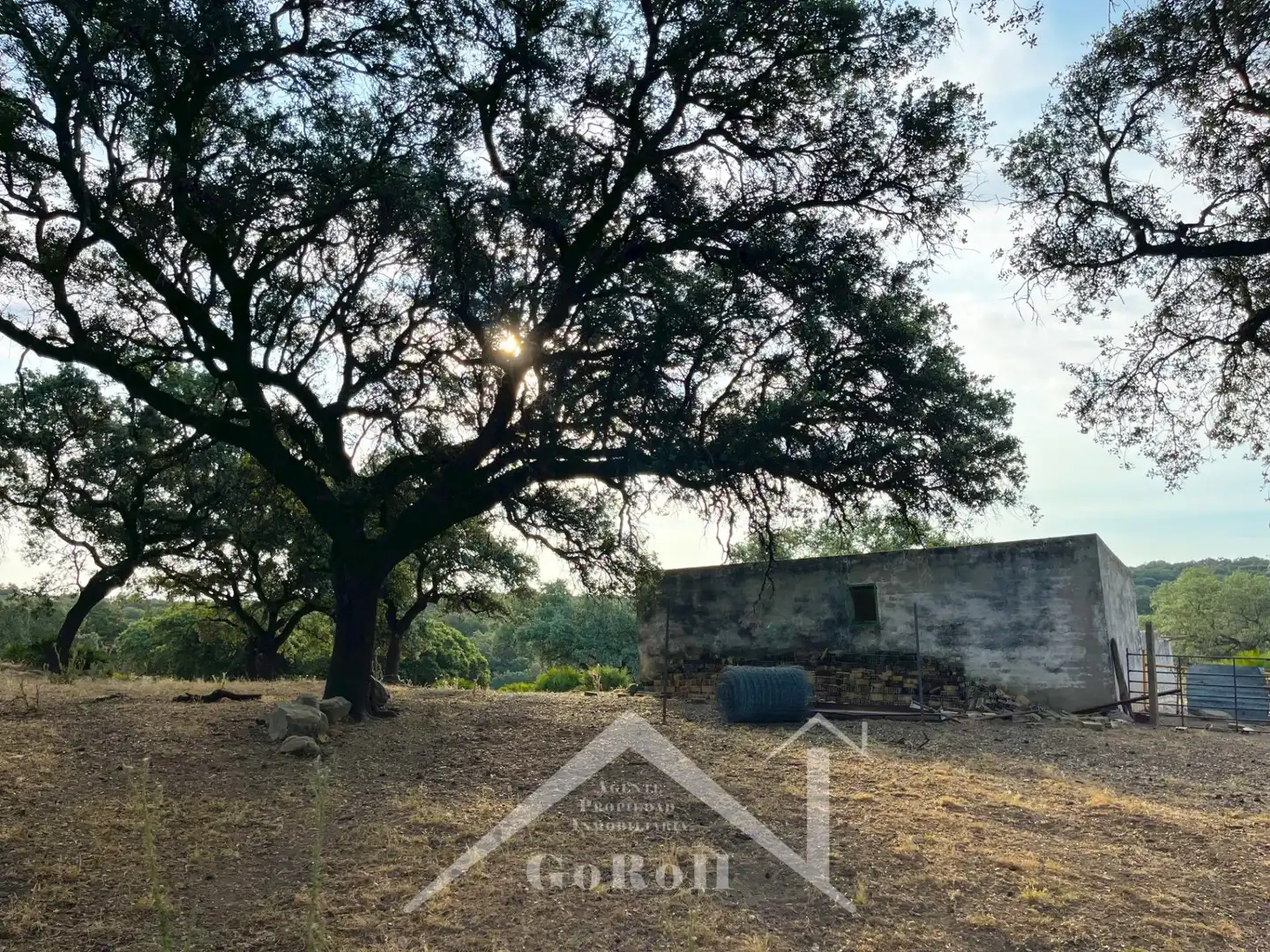 Terreni e lotti in vendita a Castilblanco de los Arroyos, imagen 19