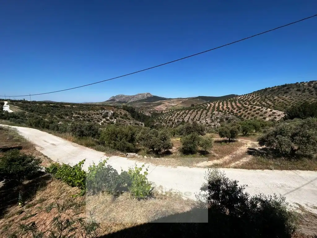 Finca rústica en venta en Partidas Norte