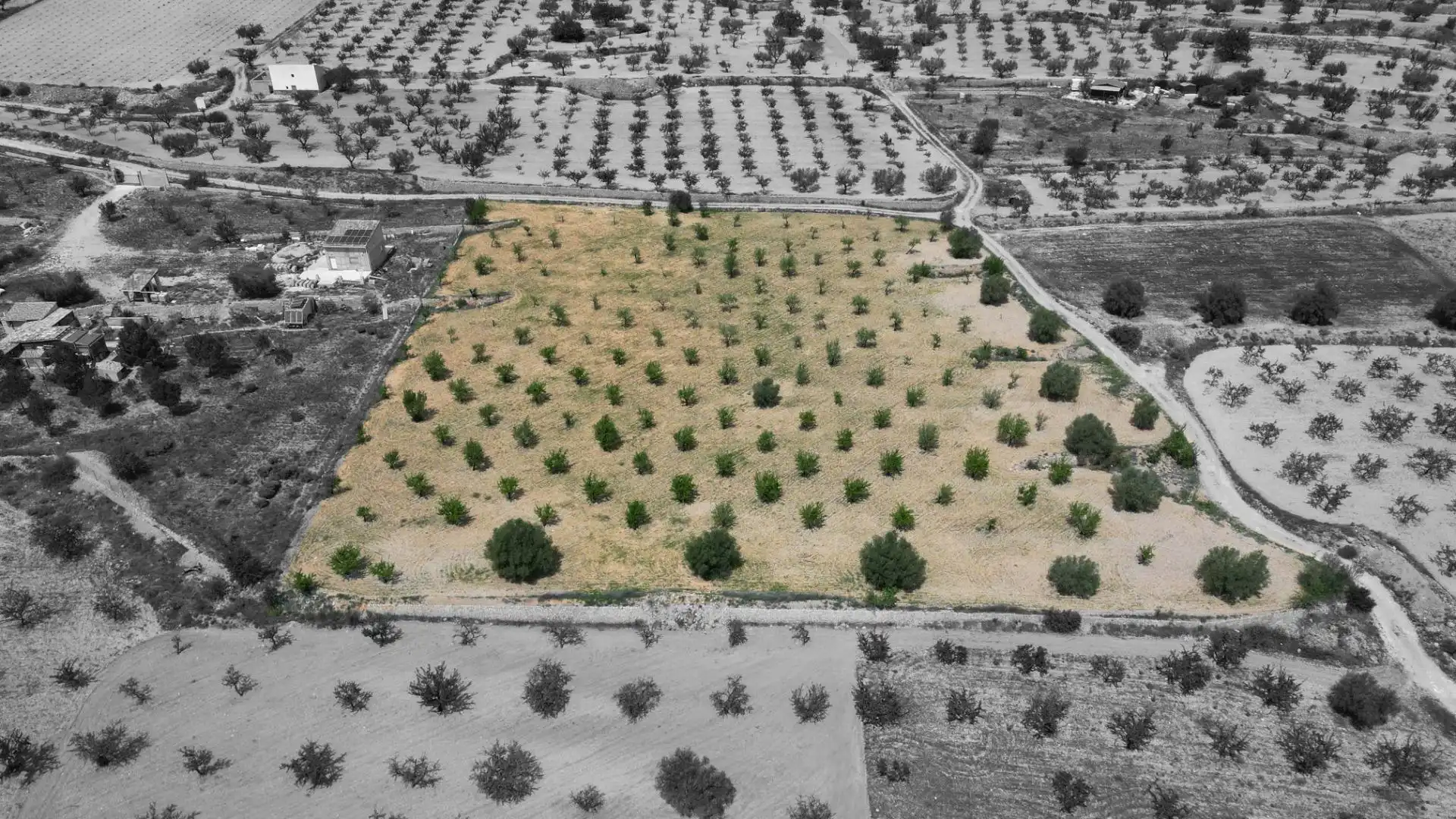 Terreny residencial en venda a Polígono 24, imagen 4