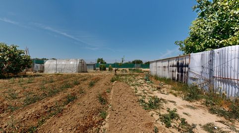 FINCA RÚSTICA EN TAFALLA, imagen 4