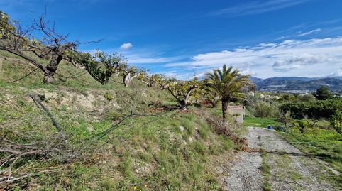 Foto 5 de Finca rústica en venda a Centro, Salobreña