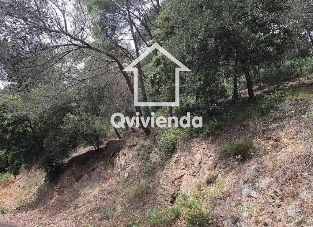 Terreny rústic en venda a LLICORELLA (DE LA)