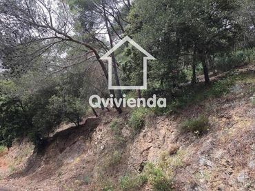 Terreno rústico en venta en LLICORELLA (DE LA)
