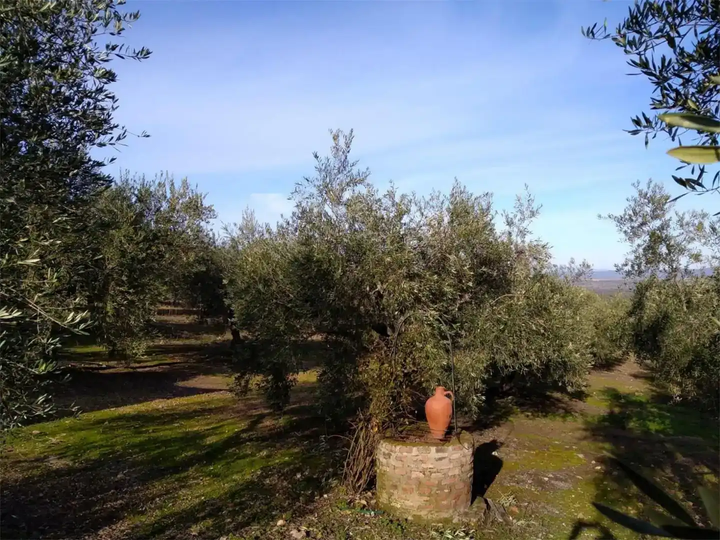Jardí de Finca rústica en venda en Herrera del Duque amb Jardí privat, Piscina i Moblat