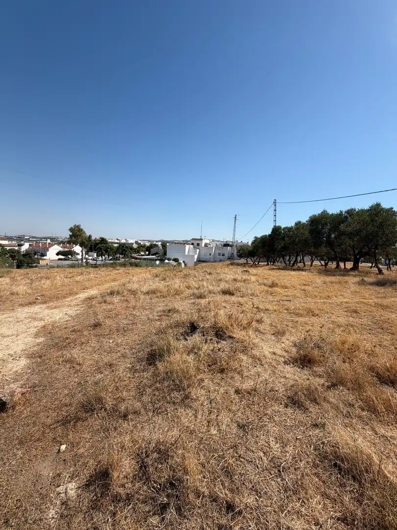 Terreno rustico in vendita a Morón de la Frontera, imagen 2