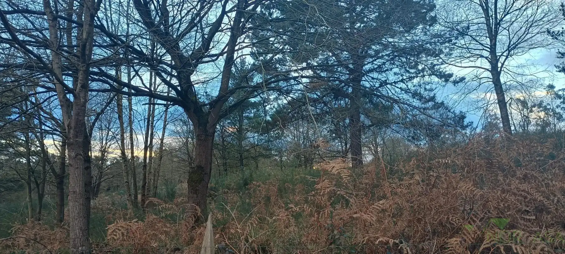 Terrenys i solars en venda a Posada de Llanera, imagen 16