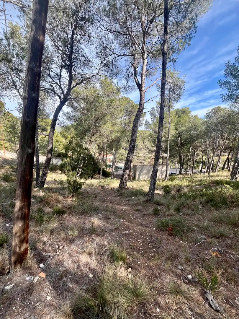 Houses for sale in Font-rubí