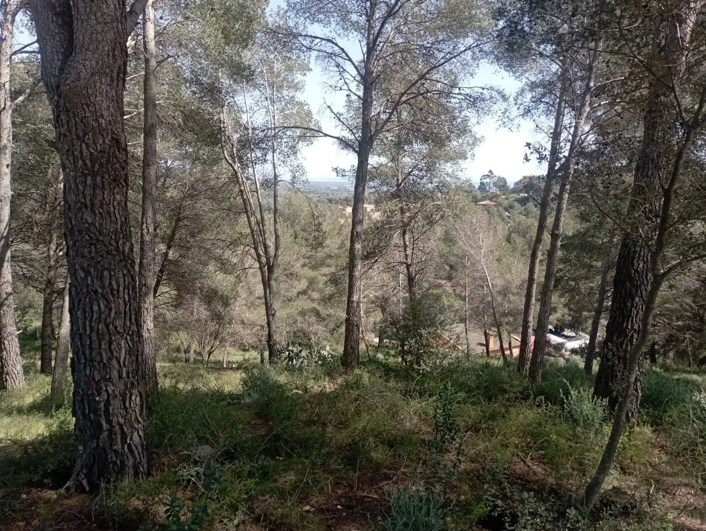 Terreno residenziale in vendita a Calle Ferreteries, imagen 19