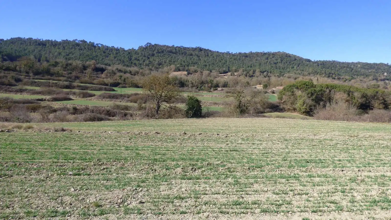 Terreno residencial en venta en Castellterçol, imagen 17