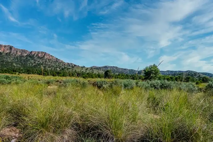 Rustikales Grundstück zum Verkauf in Paraje Fuente del Peral y Rincón del Majariego, Plg 6-7, imagen 5