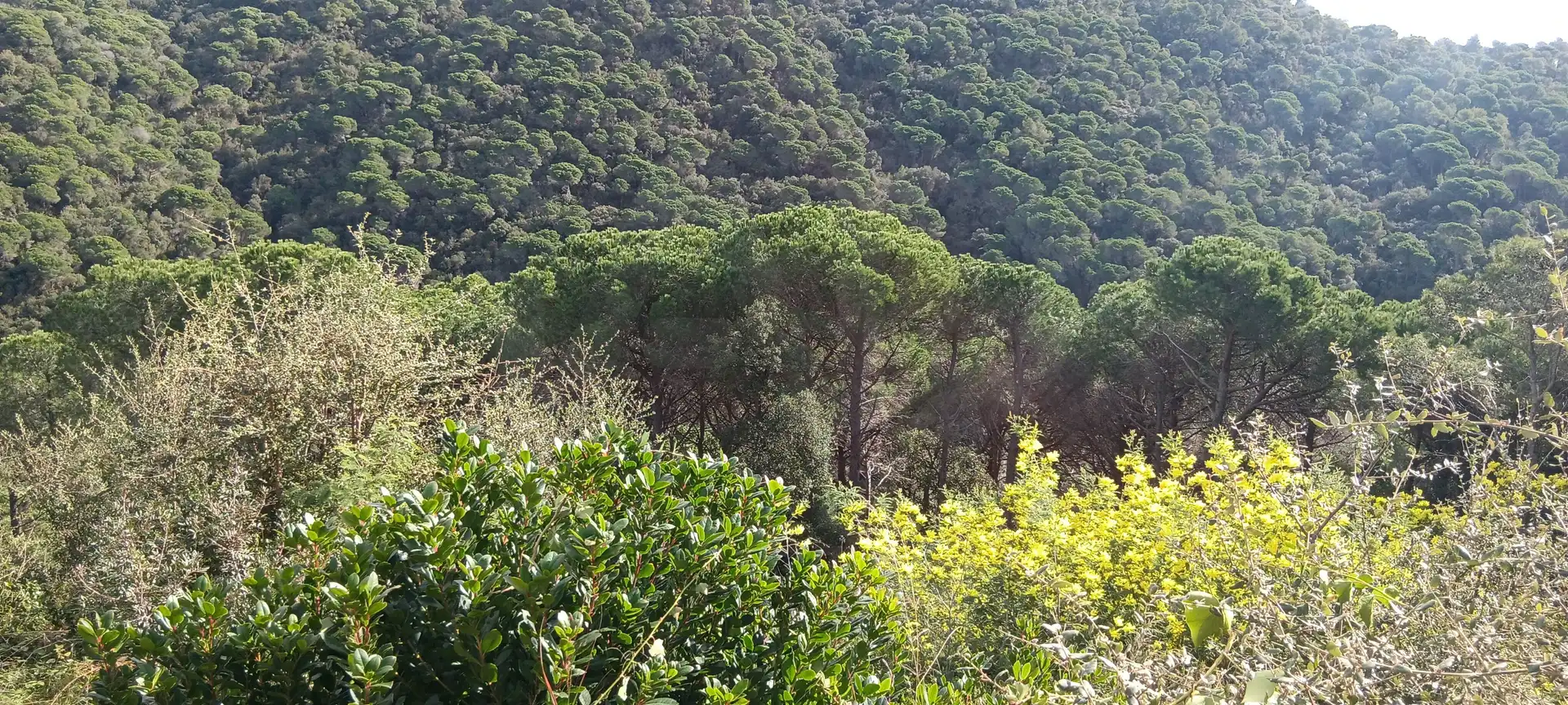 Wohnbaugrundstück zum Verkauf in Sant Cebrià de Vallalta, imagen 2