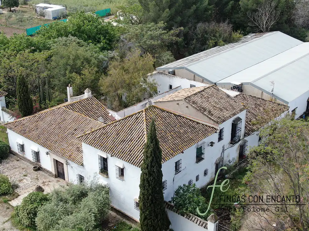 Vista exterior de Finca rústica en venda en Marchena amb Aire condicionat, Terrassa i Piscina