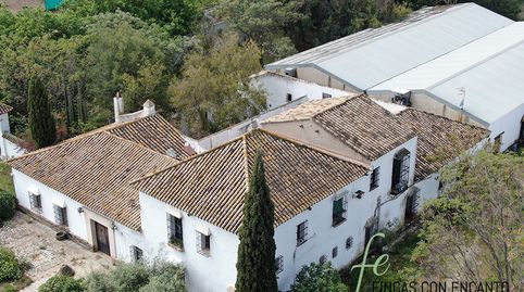 Foto 4 de Finca rústica en venda a Marchena, Sevilla