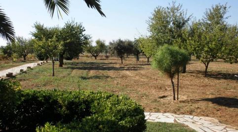 Foto 4 de Casa o chalet en venta en Las Vaguadas, Badajoz Capital