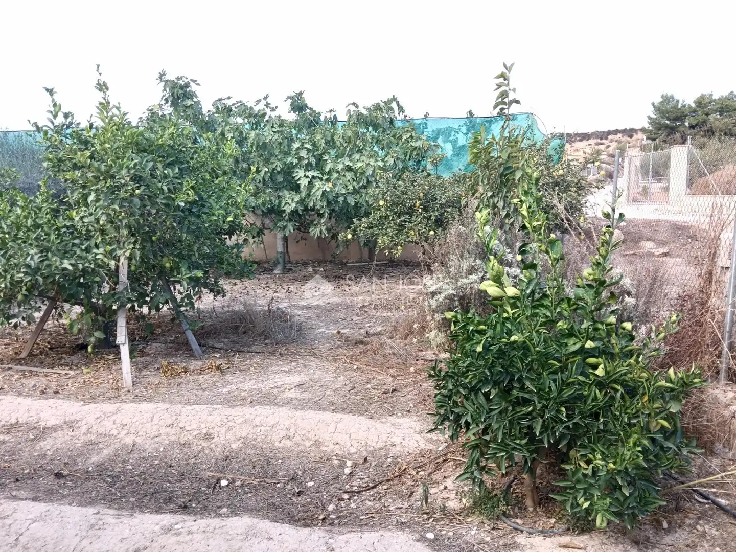 Villa avec piscine à vendre à Monforte del Cid, imagen 38
