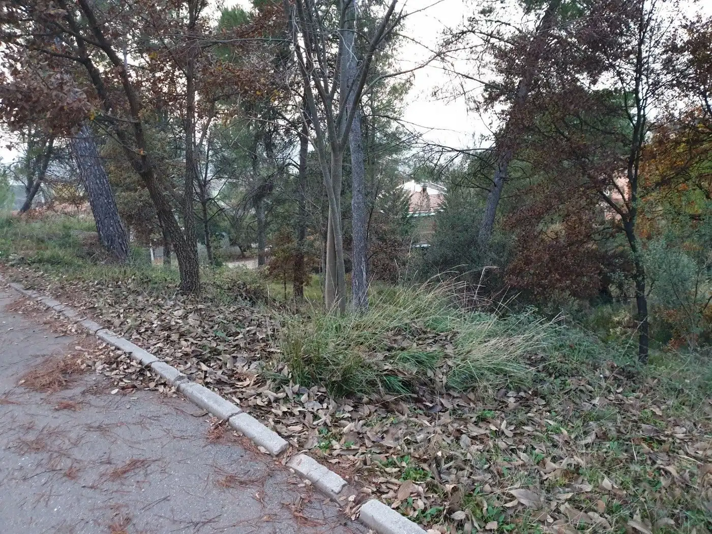 Wohnbaugrundstück zum Verkauf in Sant Fruitós de Bages, imagen 2