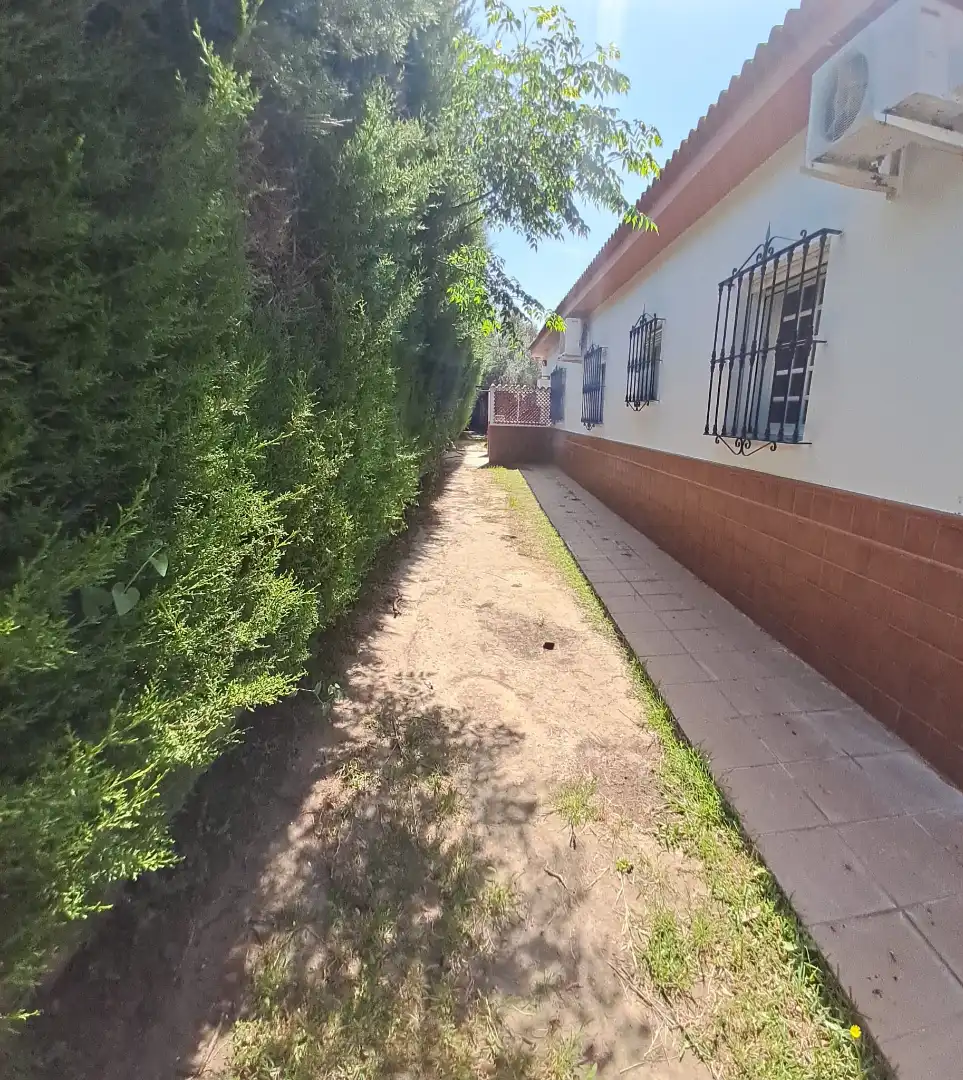 Vista exterior de Casa o chalet en venta en Palomares del Río con Aire acondicionado, Jardín privado y Terraza
