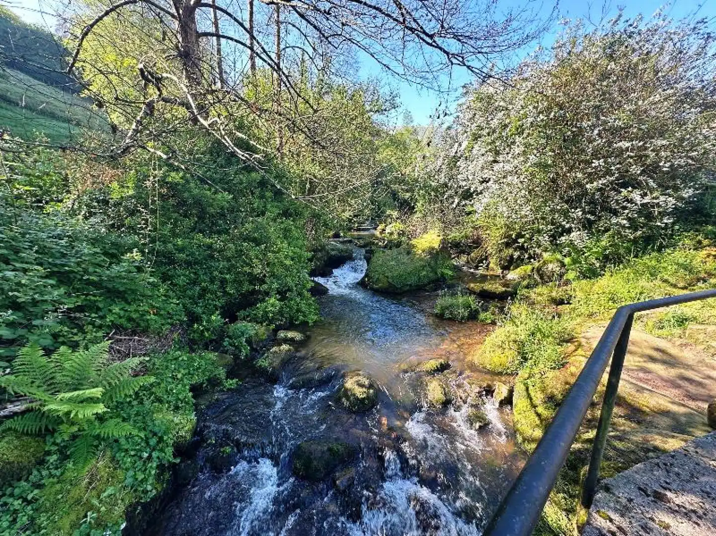 Vista exterior de Casa o chalet en venta en Valdáliga con Jardín privado