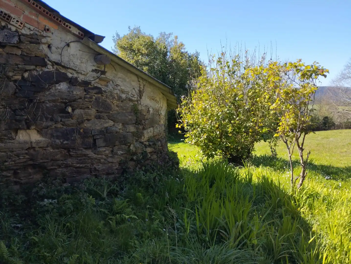 Vista exterior de Casa o xalet en venda en As Somozas  amb Calefacció, Jardí privat i Moblat