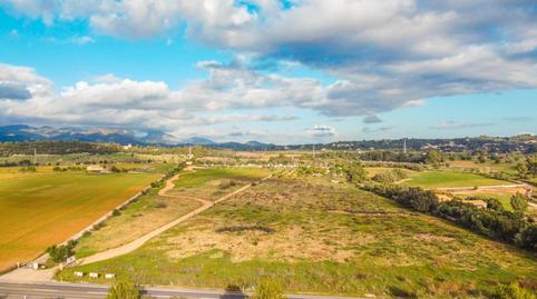 Photo 2 of Land for sale in Son Ramonell - Es Figueral, Marratxí
