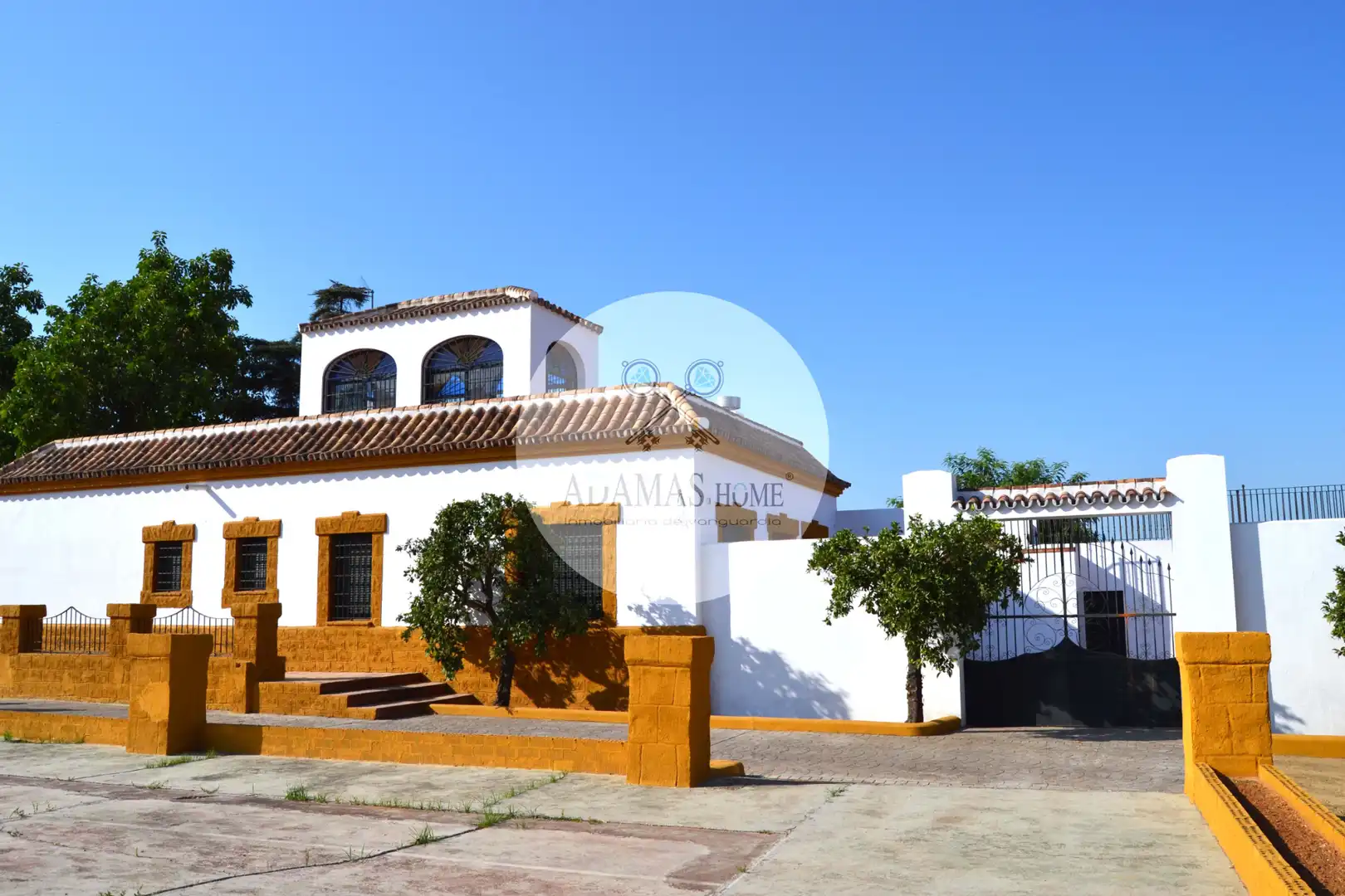 Vista exterior de Casa o xalet en venda en Sanlúcar la Mayor amb Jardí privat, Terrassa i Piscina