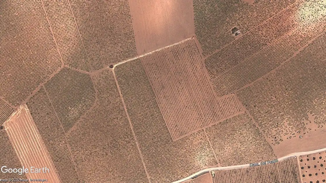 Terreno rustico in vendita a Membrilla, imagen 3