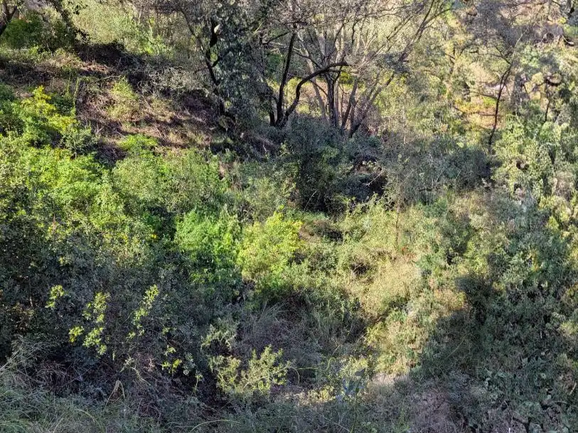 Terreny residencial en venda a carretera de la Platja del Racó 20, imagen 11