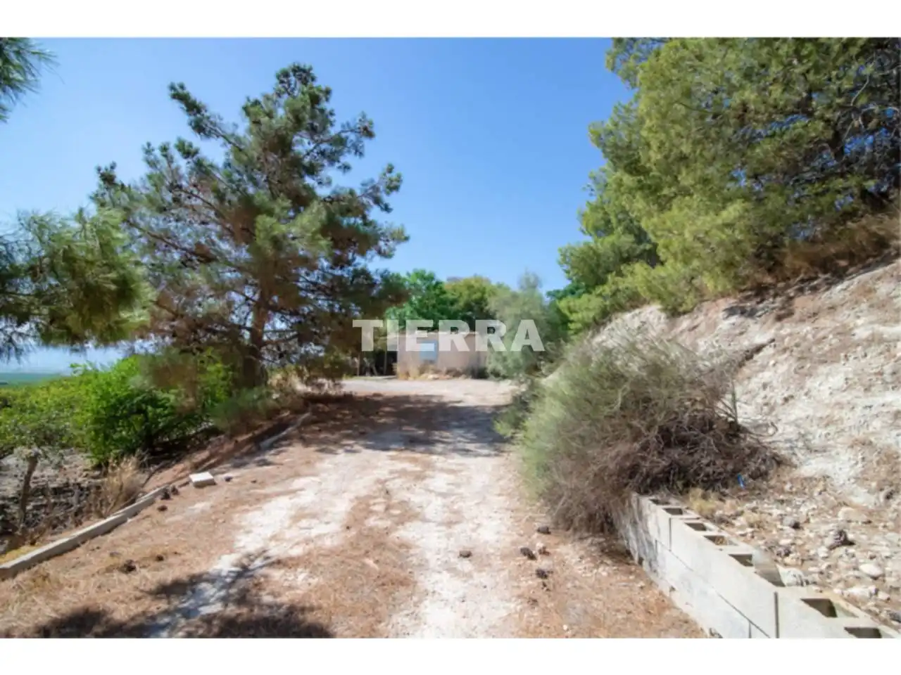 Lands and plots for sale in Poligono El Semolilla, imagen 12