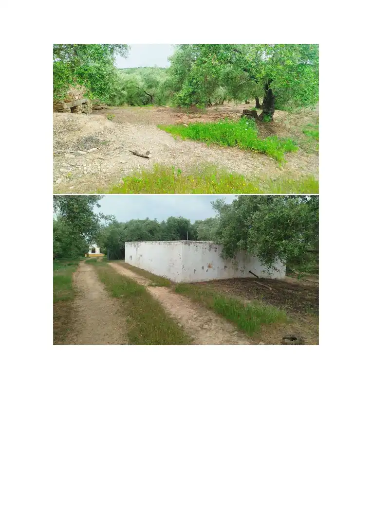Terreno en venta en Hornachuelos