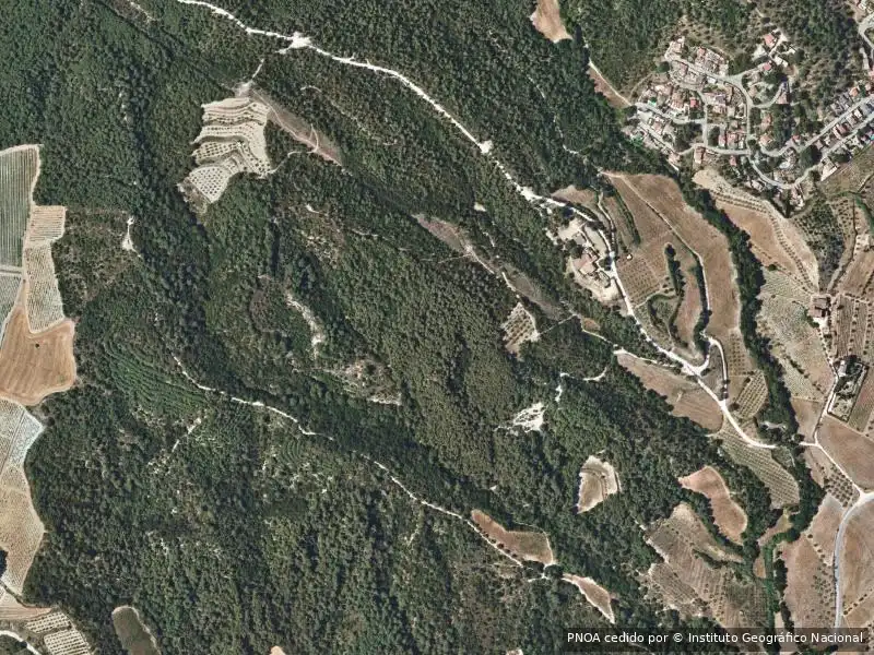 Appartamento in vendita a Piera, imagen 5