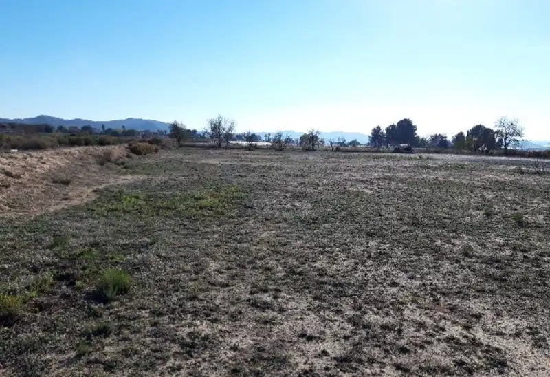 Terreno residencial en venta en ORITO, POLIGONO 11, imagen 5