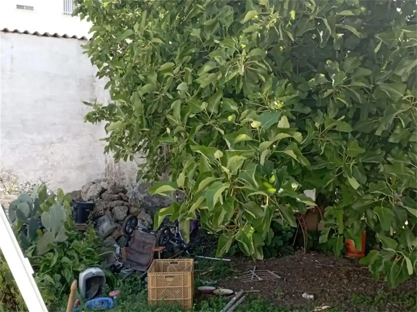Finca rústica en venda en San Fernando