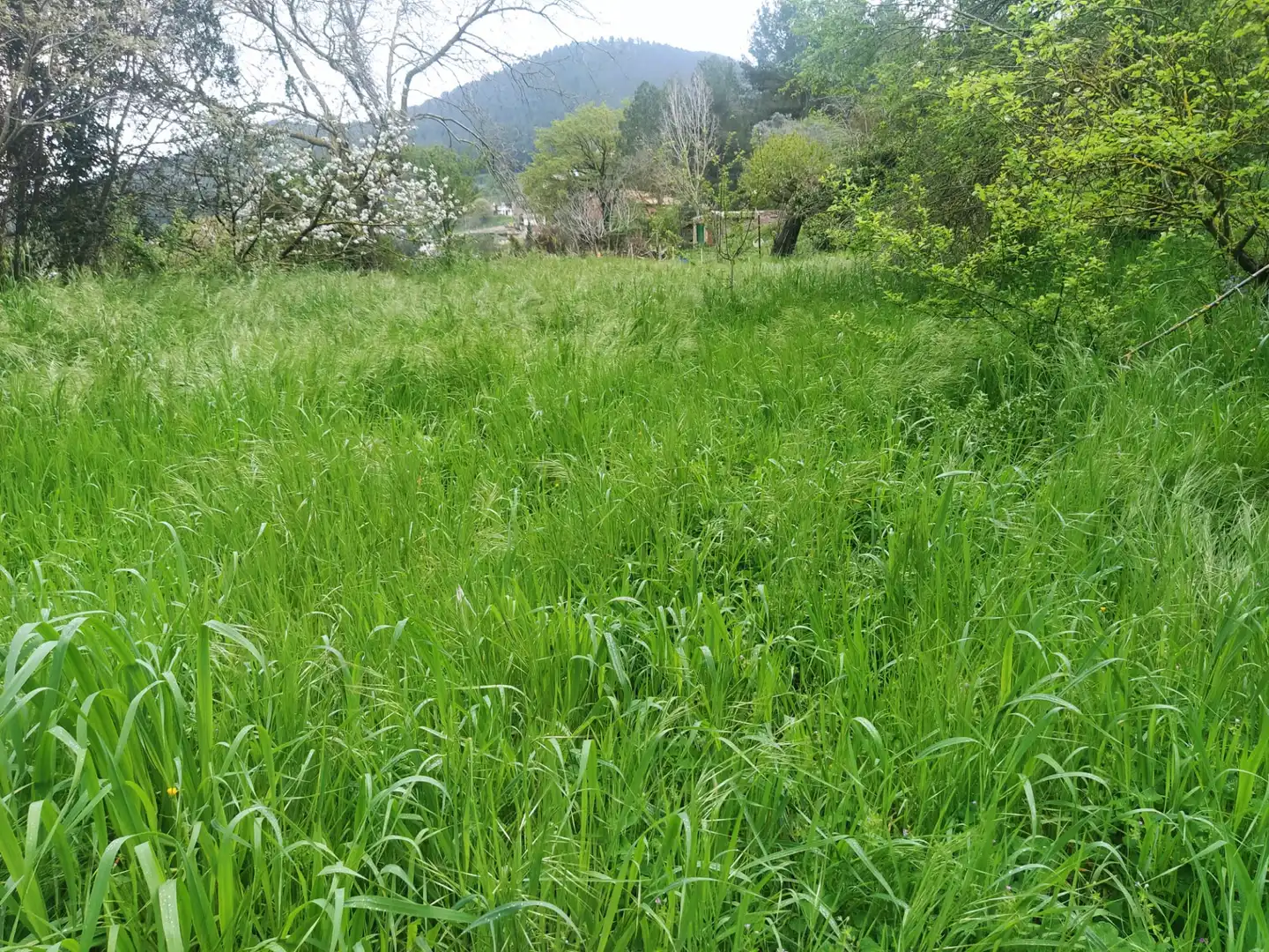Wohnbaugrundstück zum Verkauf in Carretera Corbera a Gelida 83, imagen 4