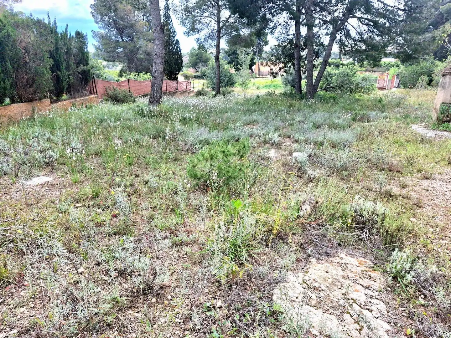 Terrain rustique à vendre à Camí de Paterna - Lloma del Calderer, imagen 4