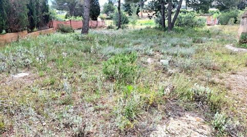 Foto 4 de Terreno en venta en Camí de Paterna - Lloma del Calderer, Bétera