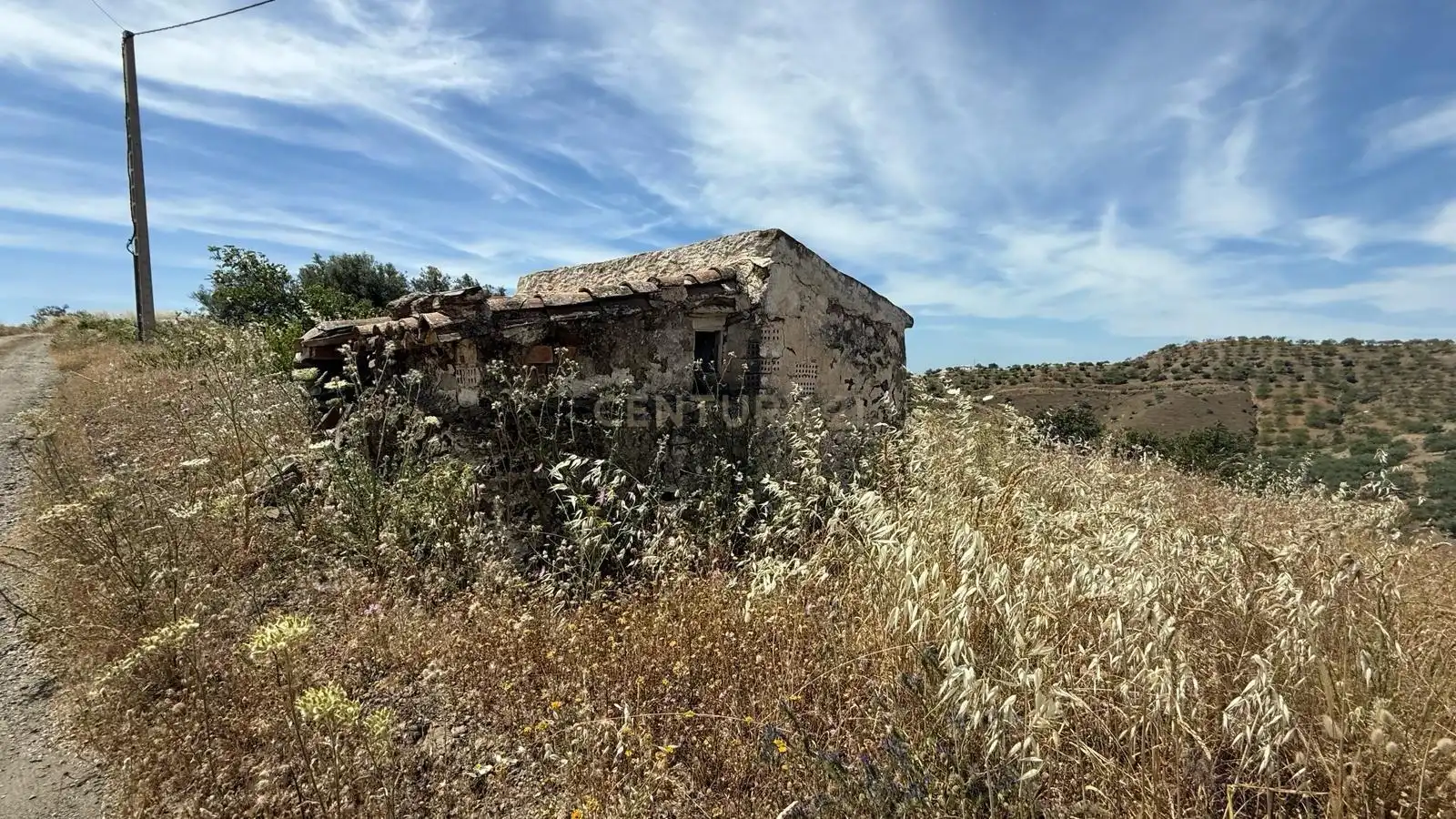 Land for sale in Sedella