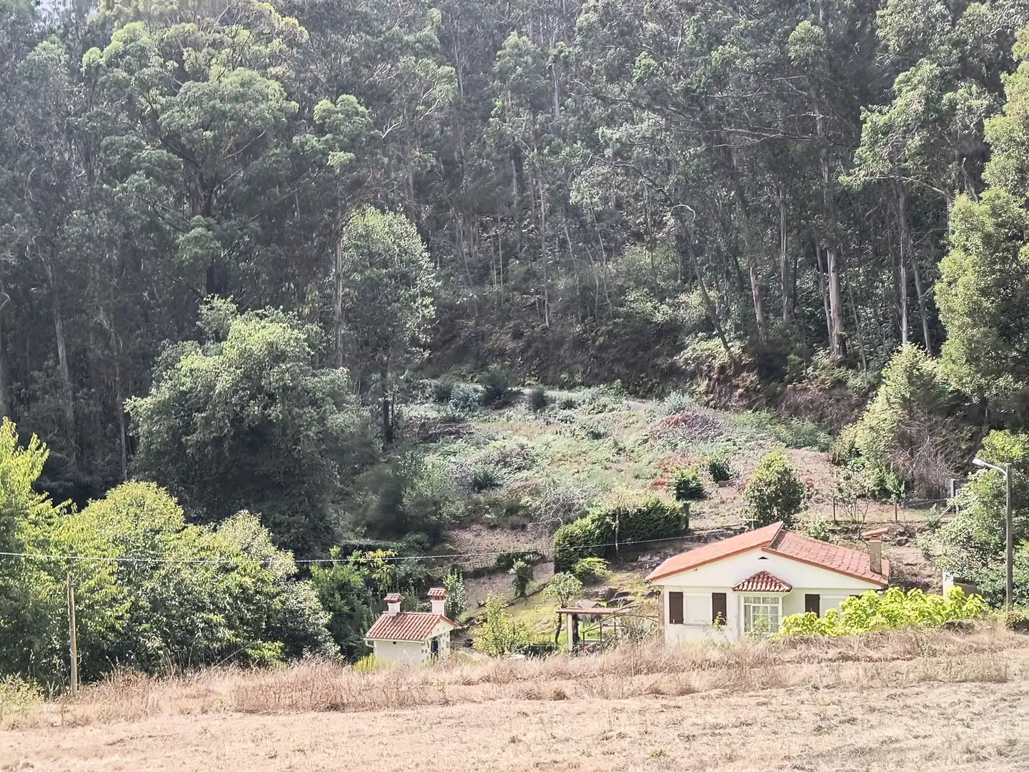 Terrenos y solares en venta en Mondariz, imagen 2
