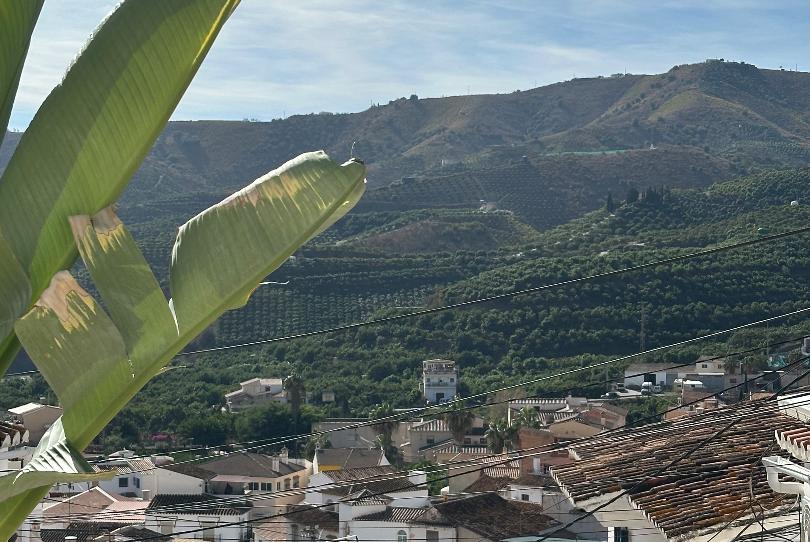 Photo 1 of Single-family semi-detached for sale in Benamargosa, Málaga
