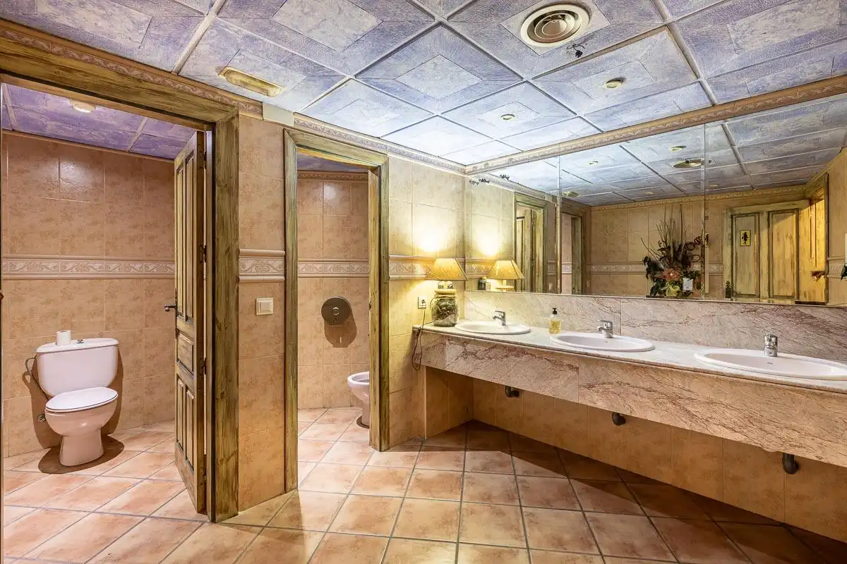 Inmuebles singulares con ascensor en venta en Cenes de la Vega, imagen 24